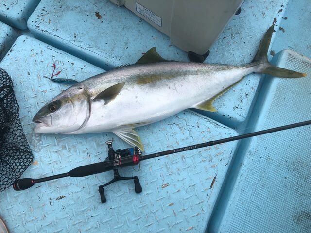 INTERCEPT海鷹73とは : おさかな釣る釣り 遊撃遊釣手編