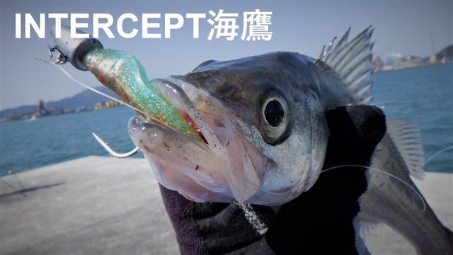 ショアアジングロッド オフィスユーカリ インターセプト海鷹73