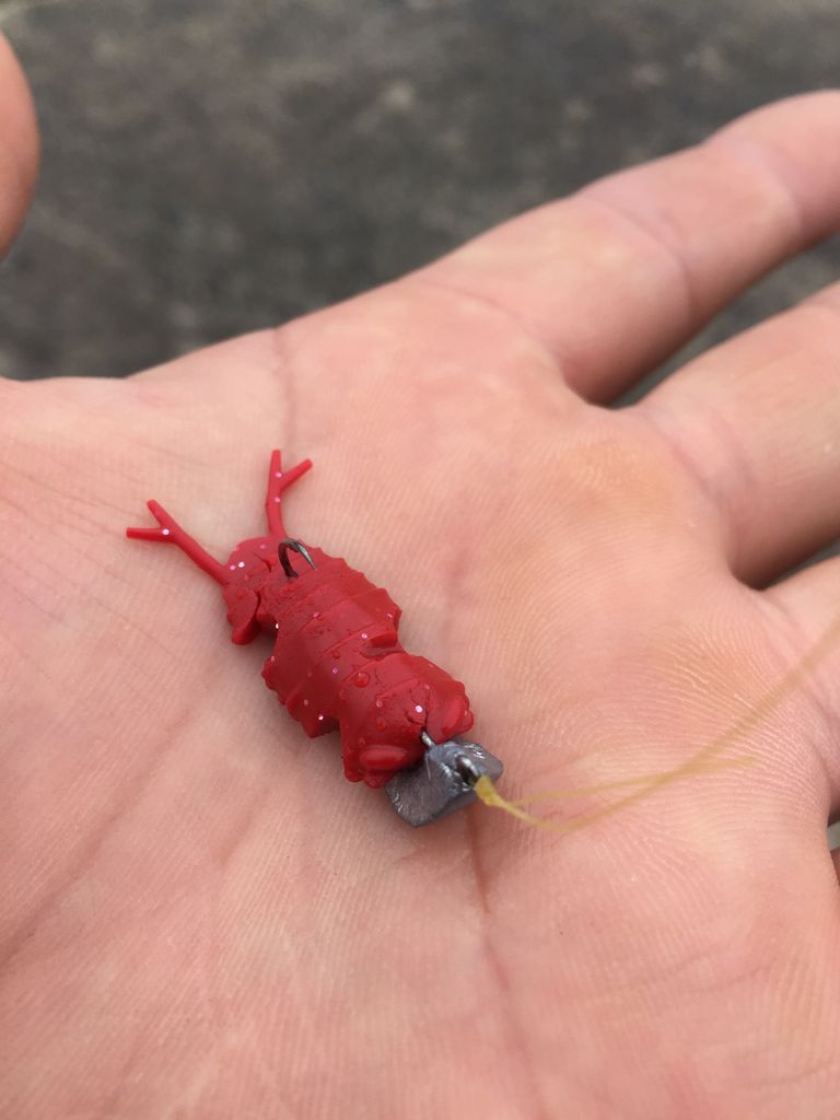 ビーローチとジグヘッドの相性 おさかな釣る釣り 遊撃遊釣手編 ビーローチとジグヘッドの相性 おさかな釣る釣り 遊撃遊釣手編