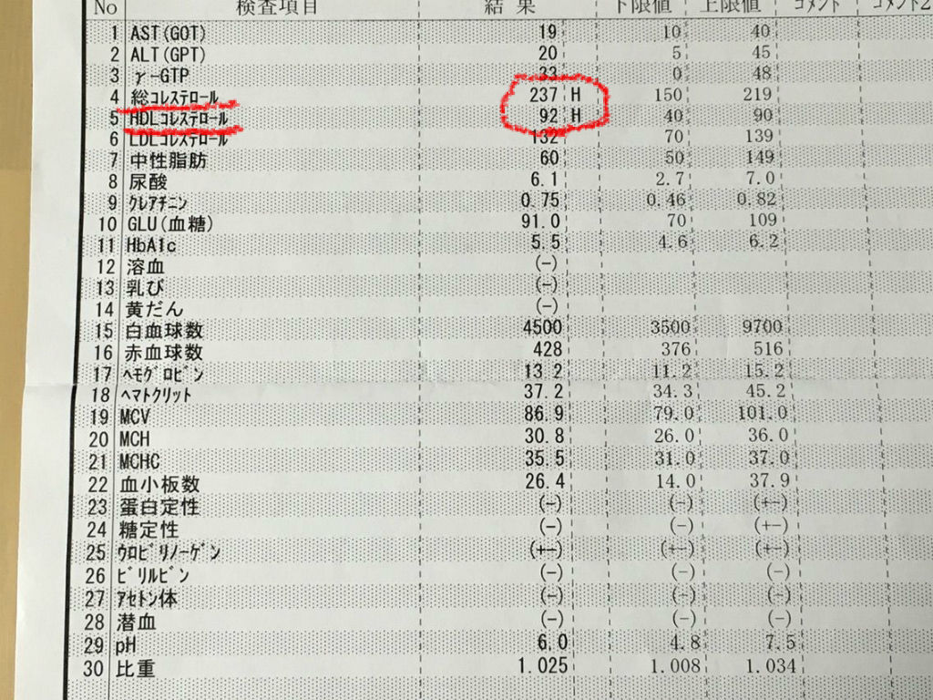糖質制限 始めて２ヶ月 血液検査してみた 始める前とも比較 人生を折り返してみたらこんな日々になりました