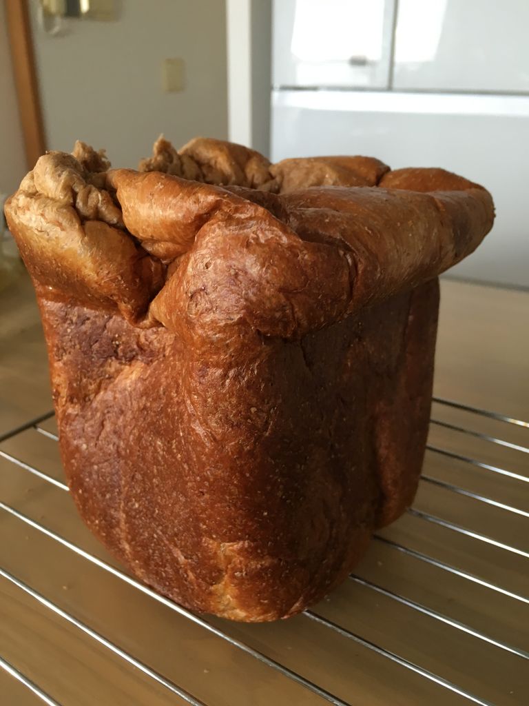 糖質制限レシピ 大豆粉パンがおいしくできました 人生を折り返してみたらこんな日々になりました