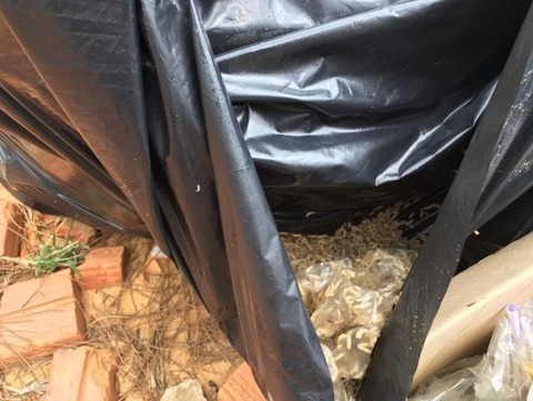 picture_pc_4a4092fecab60c52829025455610d656