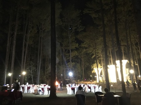 picture_pc_19ad45acdf8f359d1eb224107360a8a9