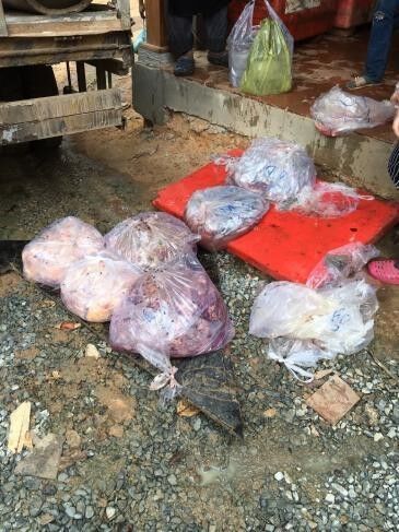 picture_pc_0986425f6b9d6b6cca3cb9ff20613255