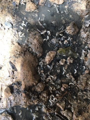 picture_pc_7a8b45053c36a07769afc13abd24f107