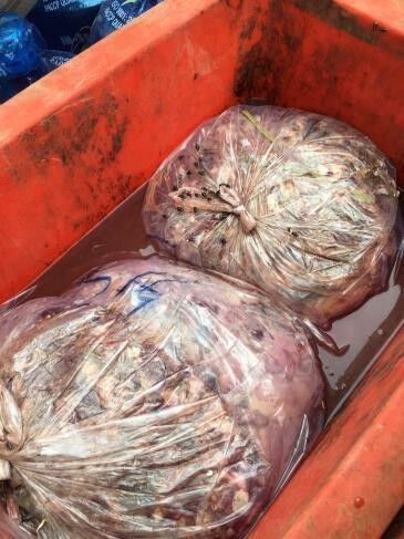 picture_pc_fd2af0a782321df9fb2850922bdf1e4a