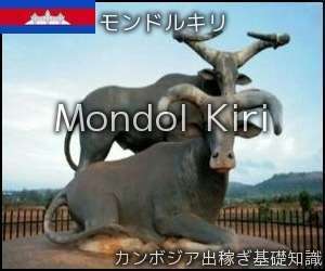 モンドルキリ州
