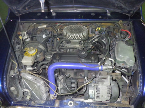 KAJI7188