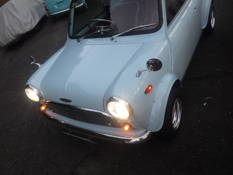KIKU1358