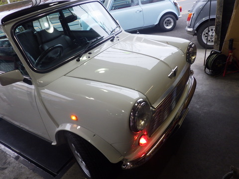 KIKU0900