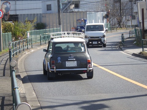 KIKU7831