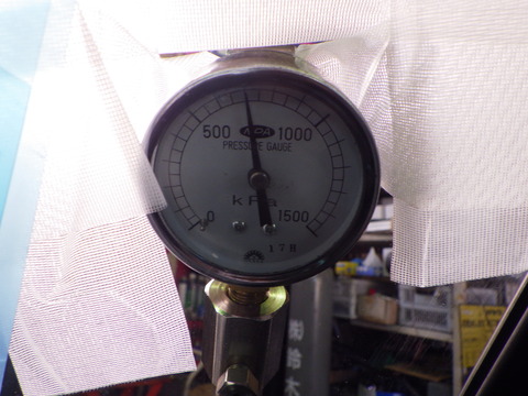 SQOR9881