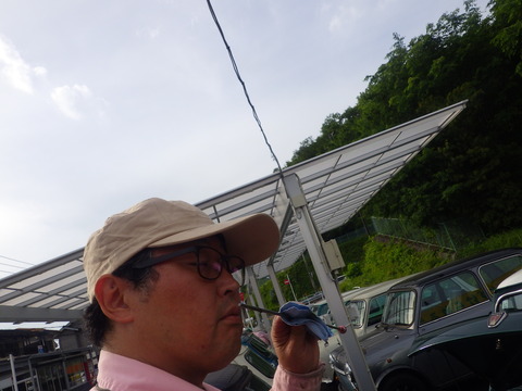 ISK_2649