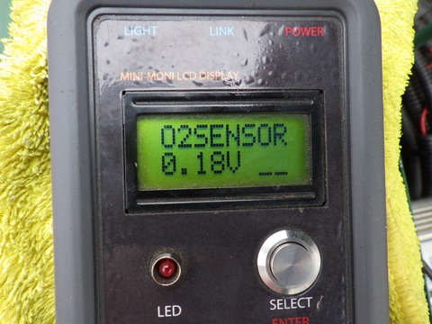 KIKU8412