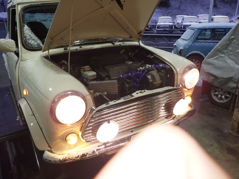 AZM_3371