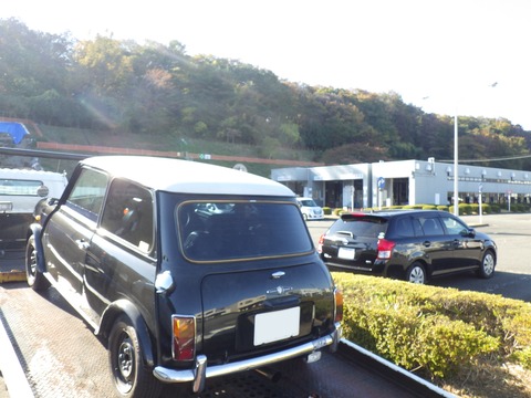 AZM_3162
