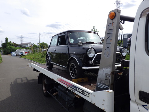 TERU9859