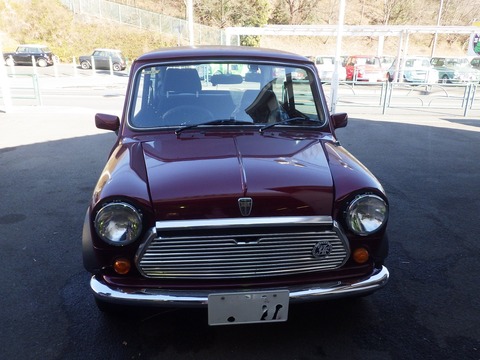 KIKU3396