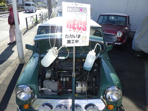 KAJI7554