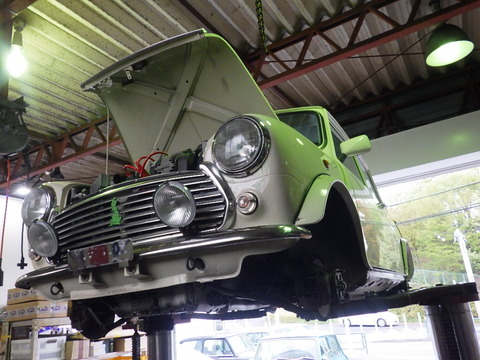 KIKU1712