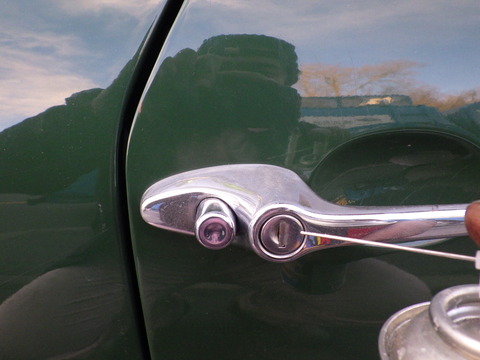 KIKU4381