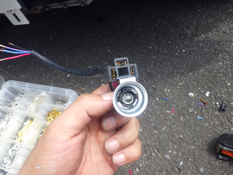 KIKU9377