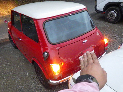 KIKU7961