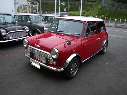 SQOR0537