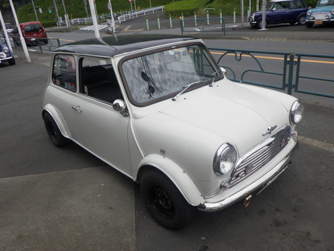 KAJI3342