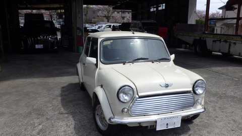 TERU3264