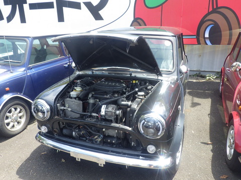KIKU9372