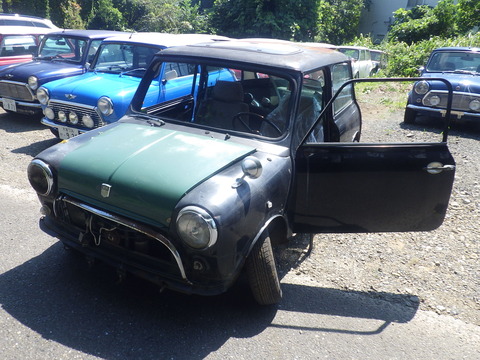 KIKU9832