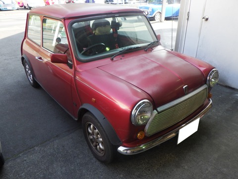 KAJI7654