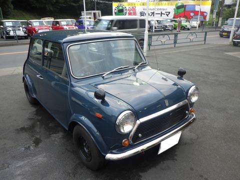 KAJI5243