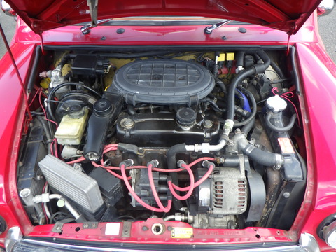 KAJI5423