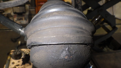 SZKM1855