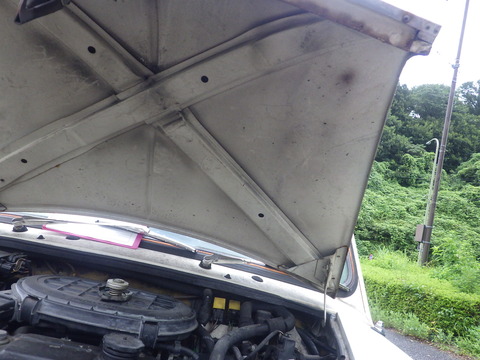 KIKU9868