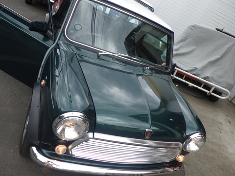 KAJI3626