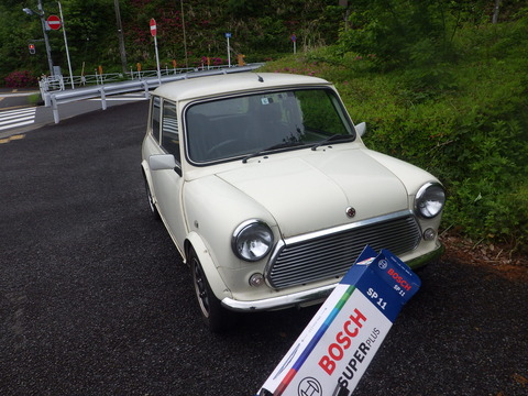 KIKU3268
