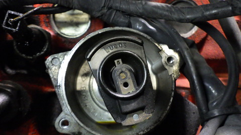 TERU1299