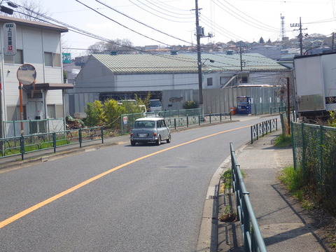 KIKU0661