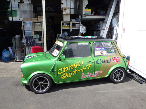 SQOR9495