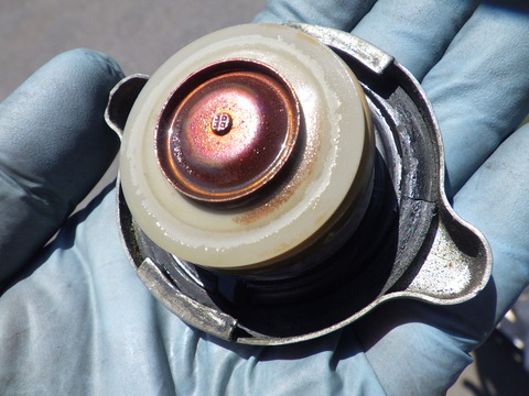 KIKU3433