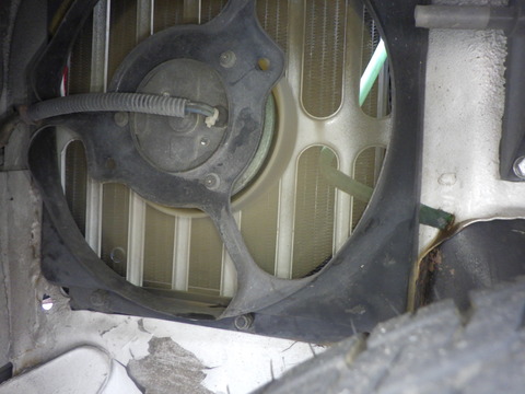 KAJI3549