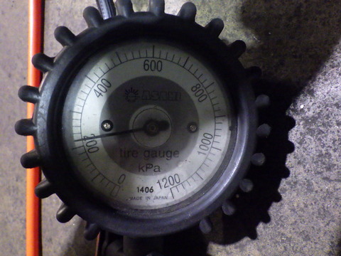 KIKU3395
