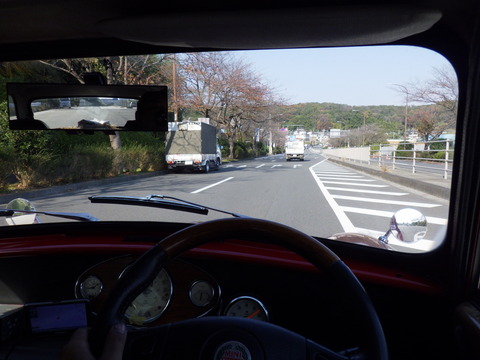 AZM_4595