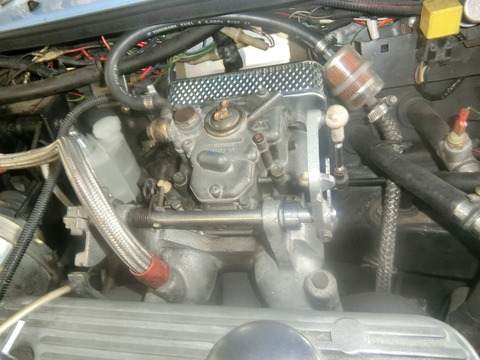 CIMG6137