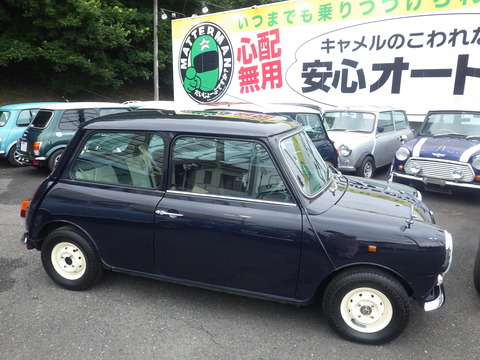 KIKU7945