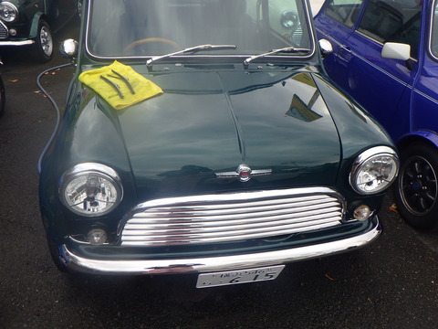 TJR_3858