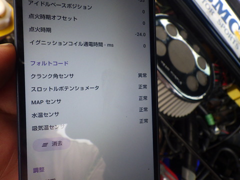 KIKU8555